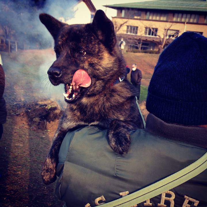 Faa903c7 6a5a 4f26 bdf0 d93e8f90a218