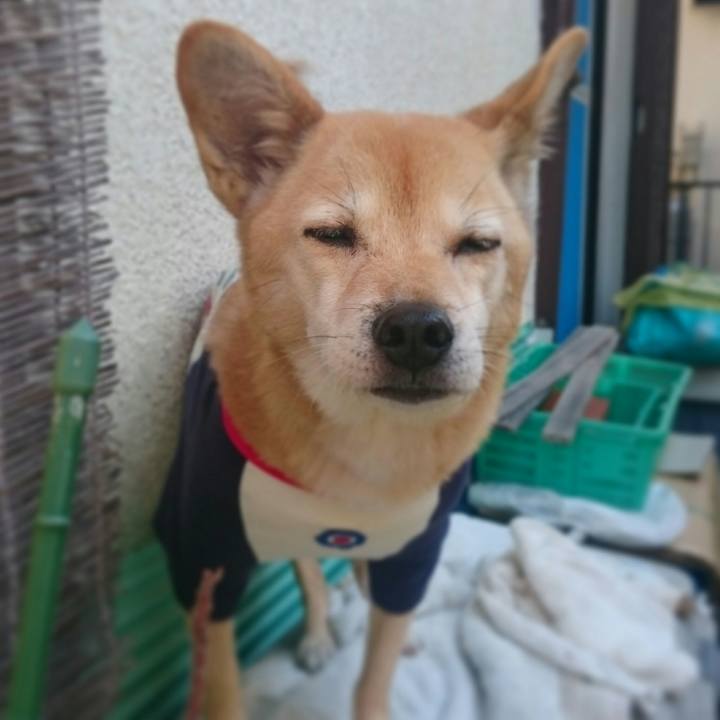 Faaa2d9a d242 4dcf acfa 92325814b34e