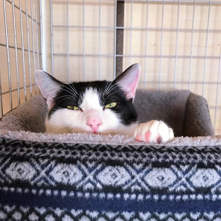 Faab5f95 55da 40be 809c e05d7448a3d0