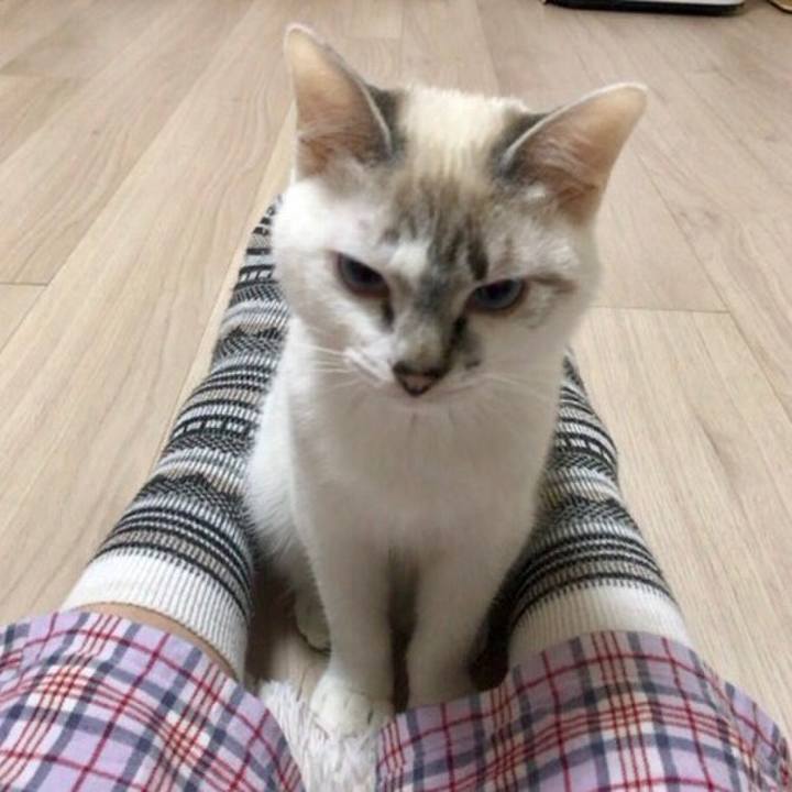 Faabc5b2 4a9e 4f7e 8318 7ab803ed694c