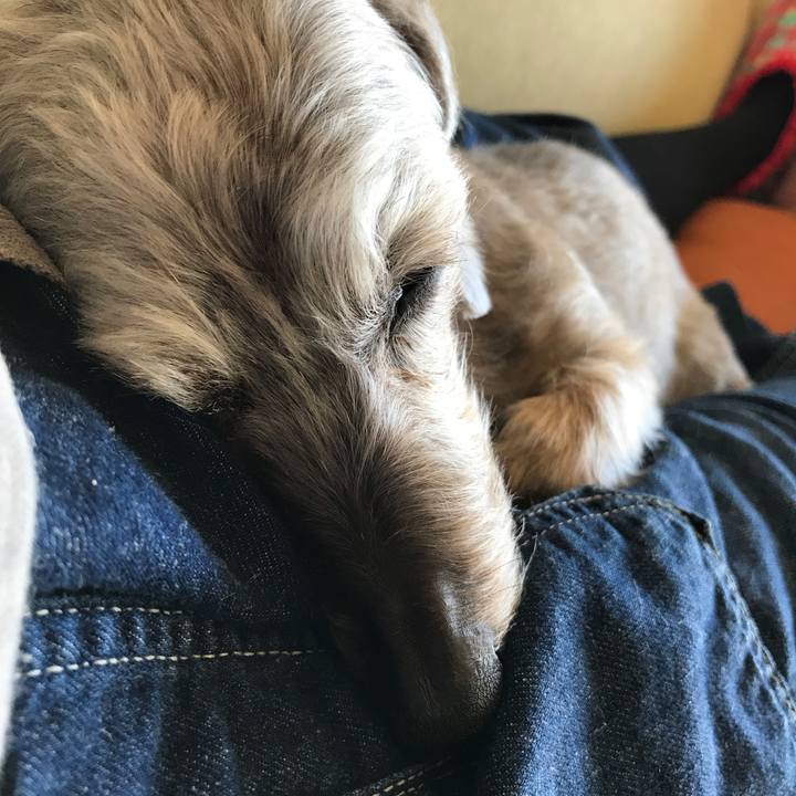 Faabe34e 4fc4 4141 94cb 5dbf66157481