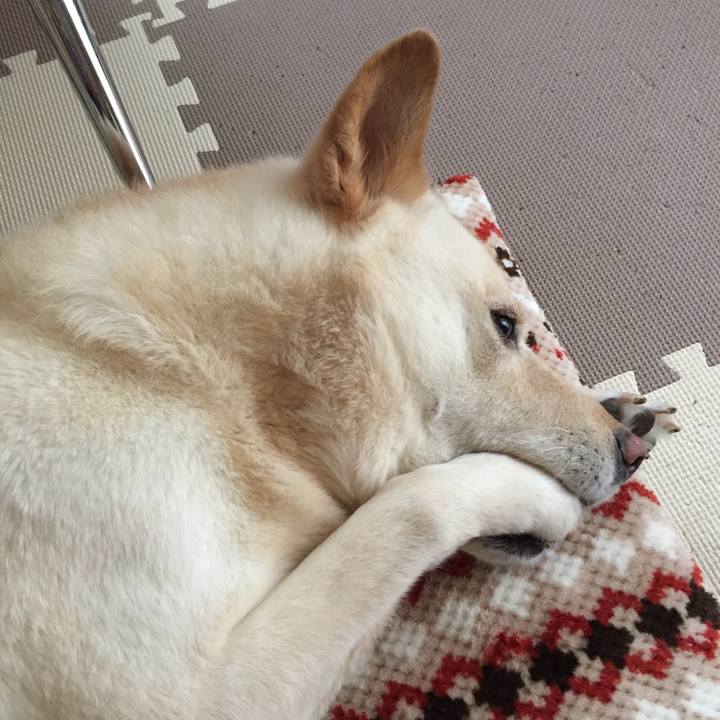 Faac2bdf 0411 4273 a073 13654bef78a7