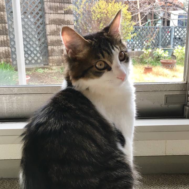 Faacfddc 7e45 4550 9fcd 4bbf29fe725e