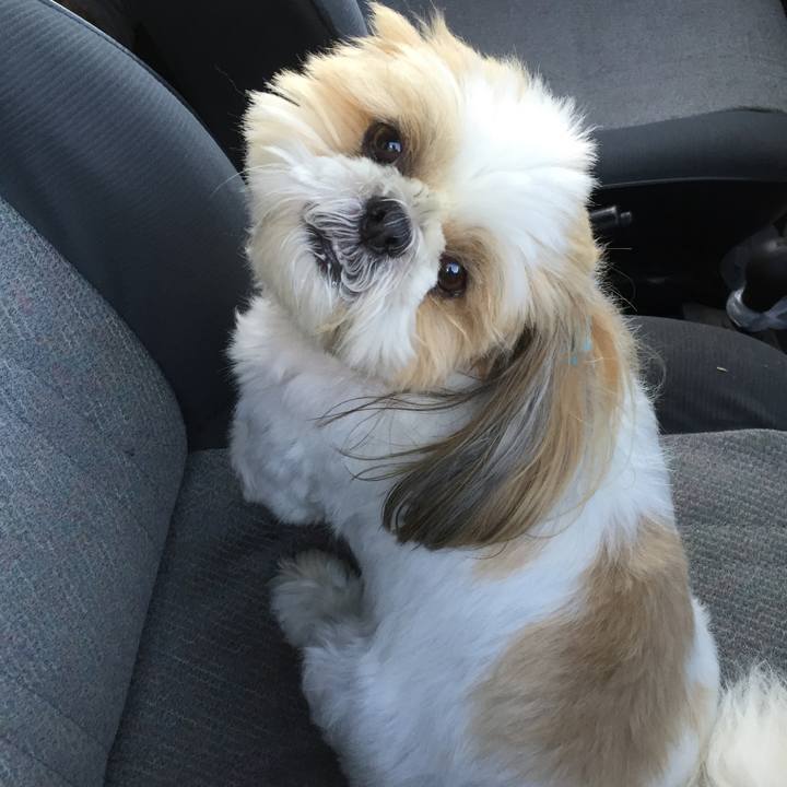 Faad27d8 135c 4588 9bc1 44642d3b6272