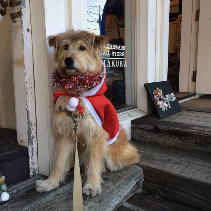 Faad569d f203 4104 9edb 352108f7ac90