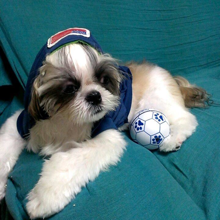 Faadd190 119b 440c a8b4 62c805080615