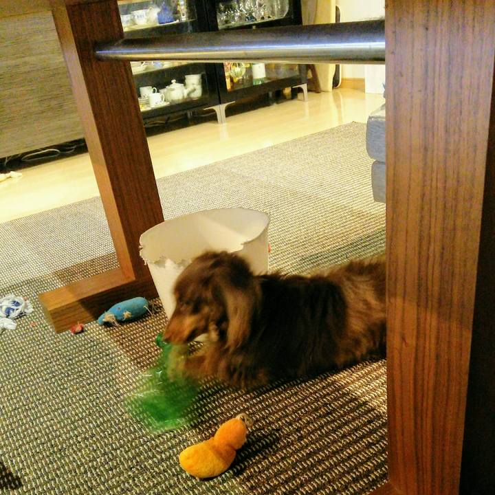 Faae0588 e748 46fc 85e1 b34168d98a66