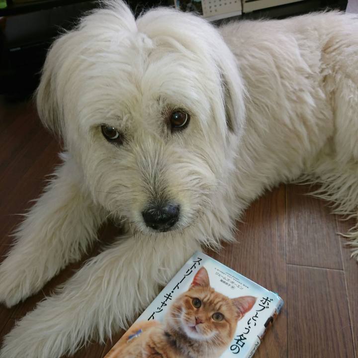 Faae396a 143a 42bb a88e f22b6a218196