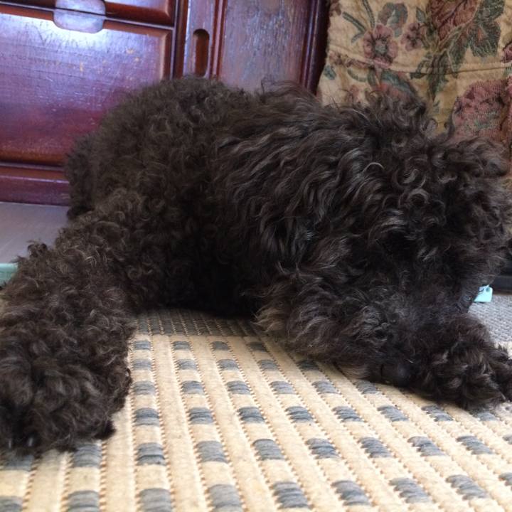 Faaee740 768f 4c11 9734 9d6bb424c39c