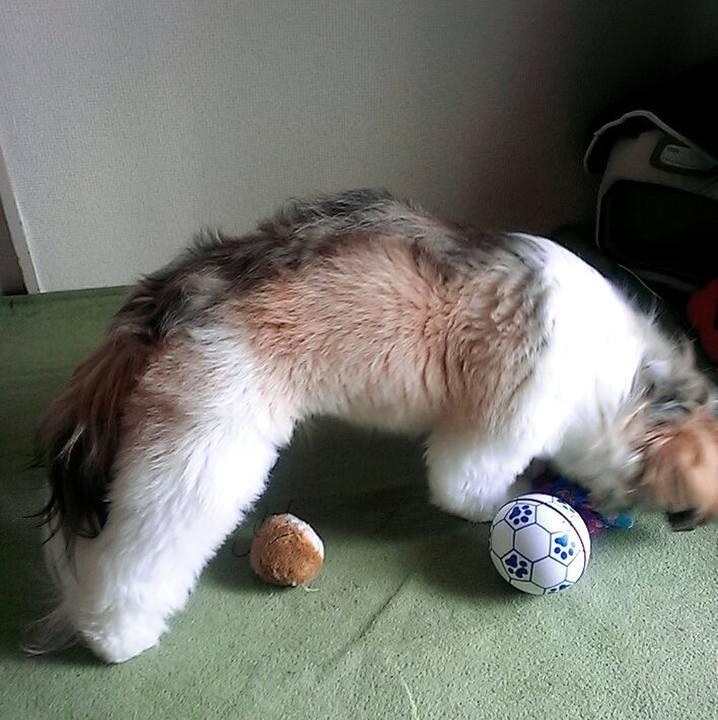 Faaf9d45 016b 480f aa02 26cee67dbc1f