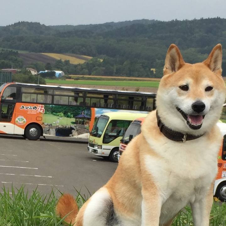 Fab0d4a2 6d07 4293 9dfd e4ca74863217