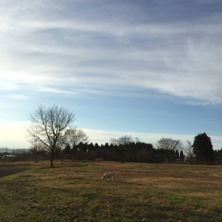 Fab14dc8 50b5 4e2a bd45 c975ee5e6809