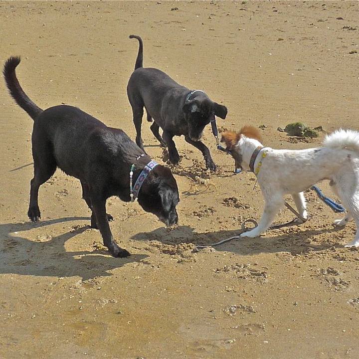 Fab17643 78dc 4089 9481 81e5eadf8725