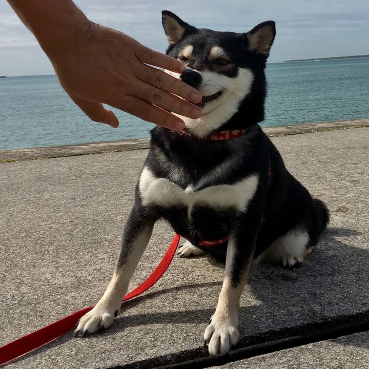 Fab1b238 6dca 4385 b0de a67c6f4c24ac