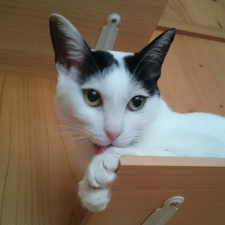 Fab1c787 1f54 4ae4 8868 9b71dfb21d12