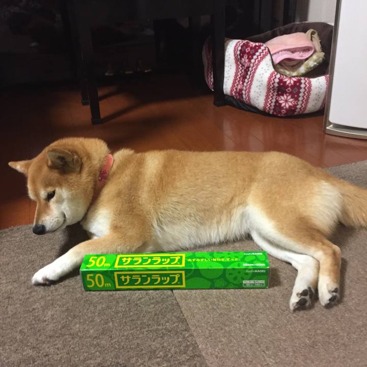 Fab26909 b835 4e1a a577 f03e87c5afd1