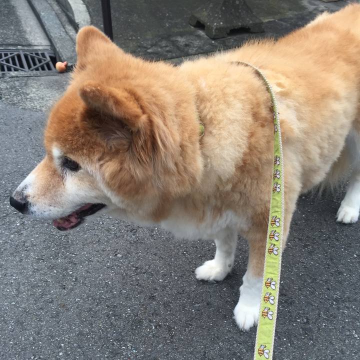 Fab40fba 22f8 4f80 b988 83d12b4633de