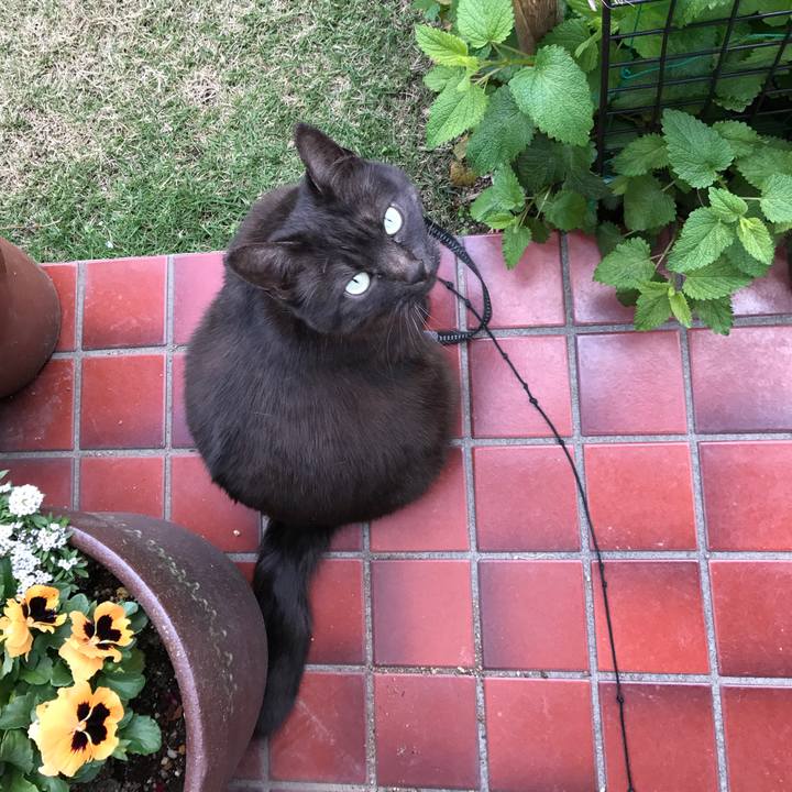 Fab4d65f 2b60 4905 b885 bc634f1cdc6b