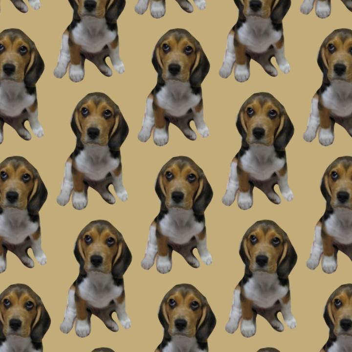 Fab53f55 57cb 4c06 878d 479a8912fb0b