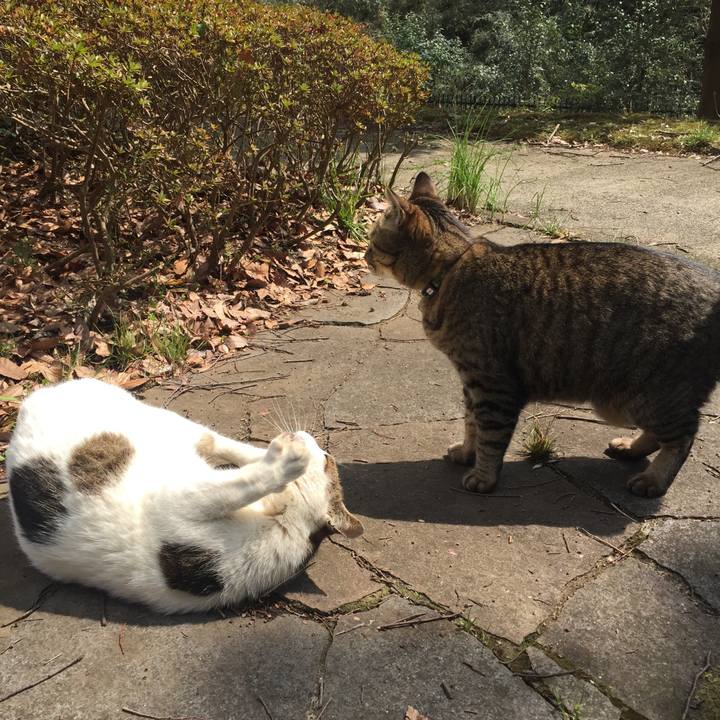 Fab5aeab 1385 4f35 b8c7 c6dcf37c89a3