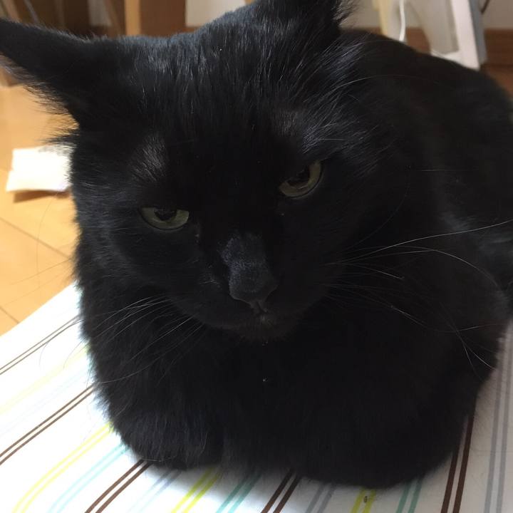 Fab5d430 ec6c 453d 859e 62ee17bcd59a