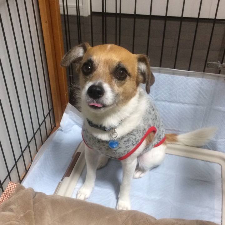 Fab5e4a2 a80f 4478 af19 6690f06f3fdb