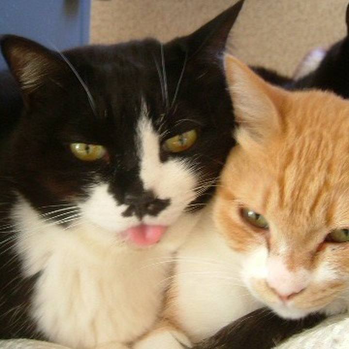 Fab6082b 90f8 4436 8823 cdc1f90b275b