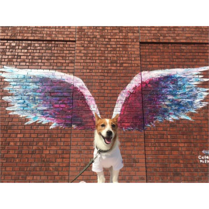 Fab6196f 9db8 4b9f 8507 bf52570011c4