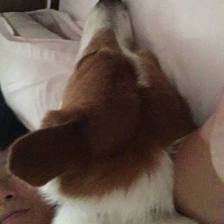 Fab68f2b 74c3 48d3 9df9 e30641256ea8