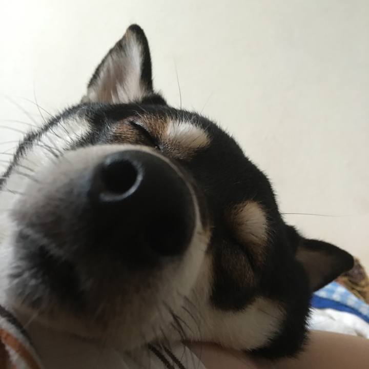 Fab6acba f84a 4e39 8988 6d8946fc55d1