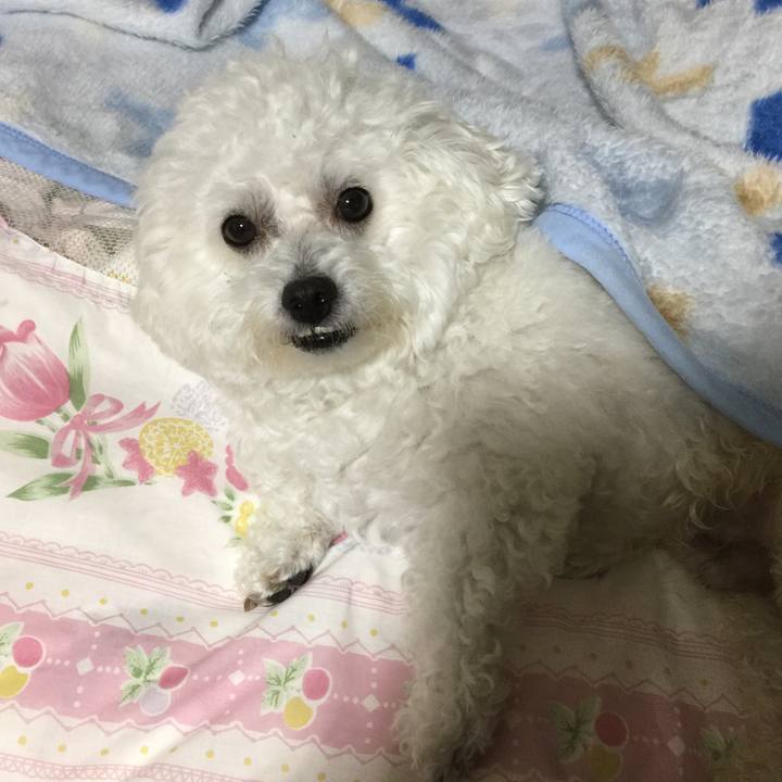 Fab6f92d dee5 4121 88b8 6d686612bc29