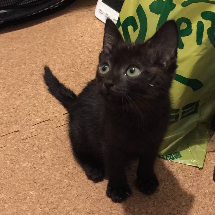 Fab700f5 28a8 41b5 bf54 3da4a9fffc84