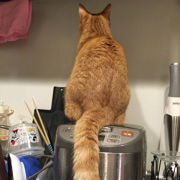 Fab74639 022f 407b 96cf 6d98aaf7aba2