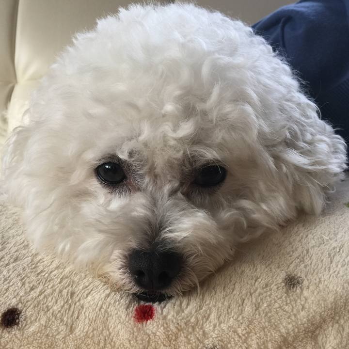 Fab7d64c aa7e 47ca a5d8 647558e581da