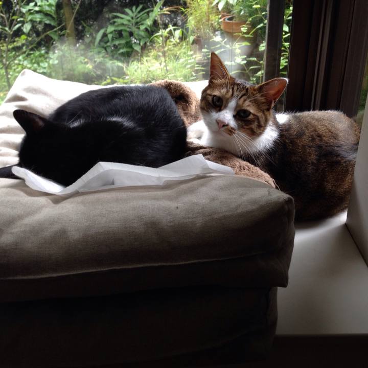 Fab848ff 906b 4ac5 ac2c 35a93962f564