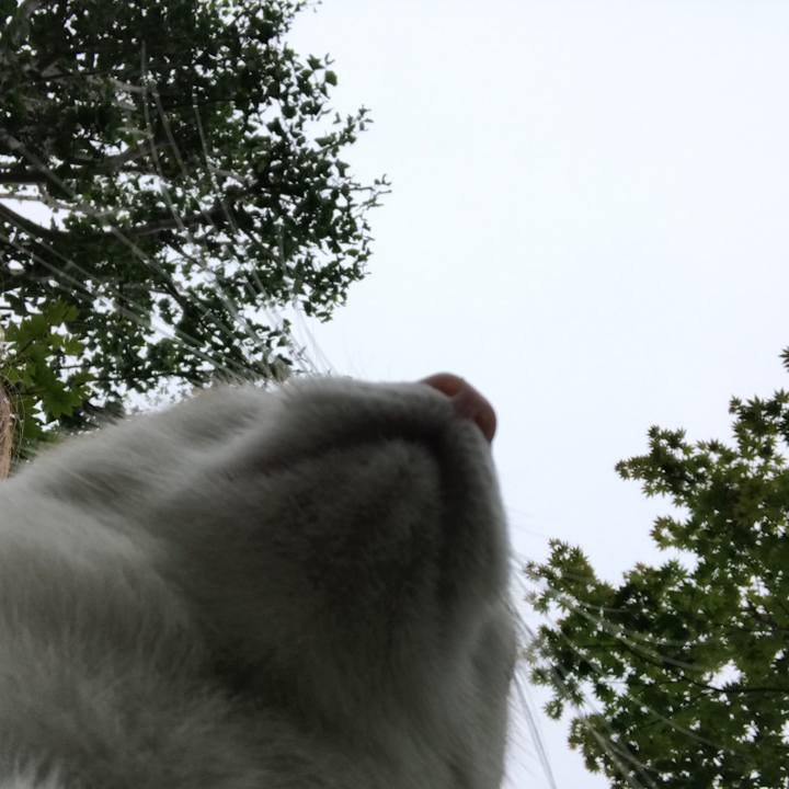 Fab8af3a c442 440c 8ff3 ef79238fd0a0