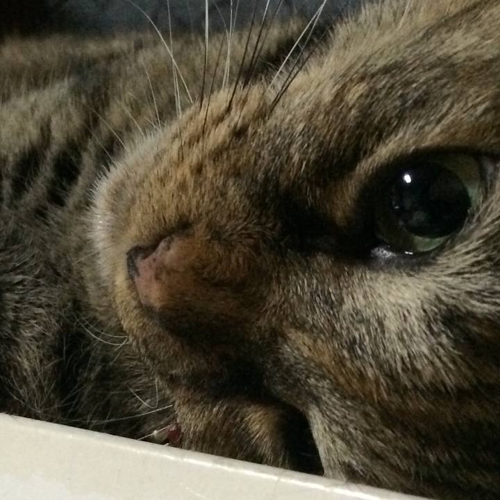 Fab8e15b 9a08 42f8 9666 205c35f7e080