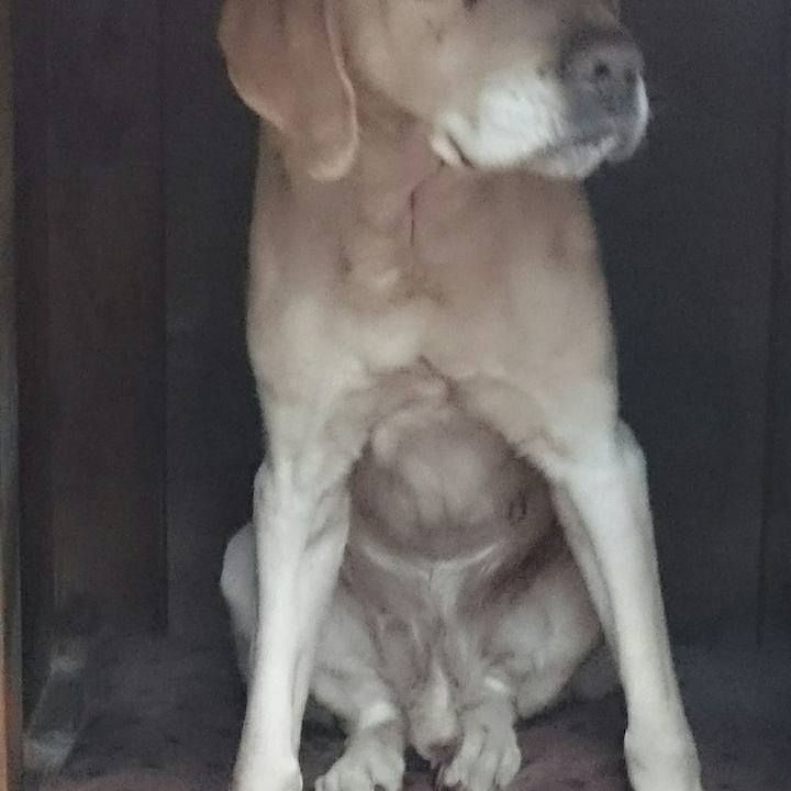 Fab9137a 73a3 4de8 a77f f728fecba133