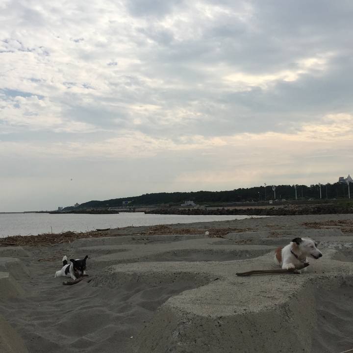 Fab97ef3 2b76 440a b673 0d724aa78c9b