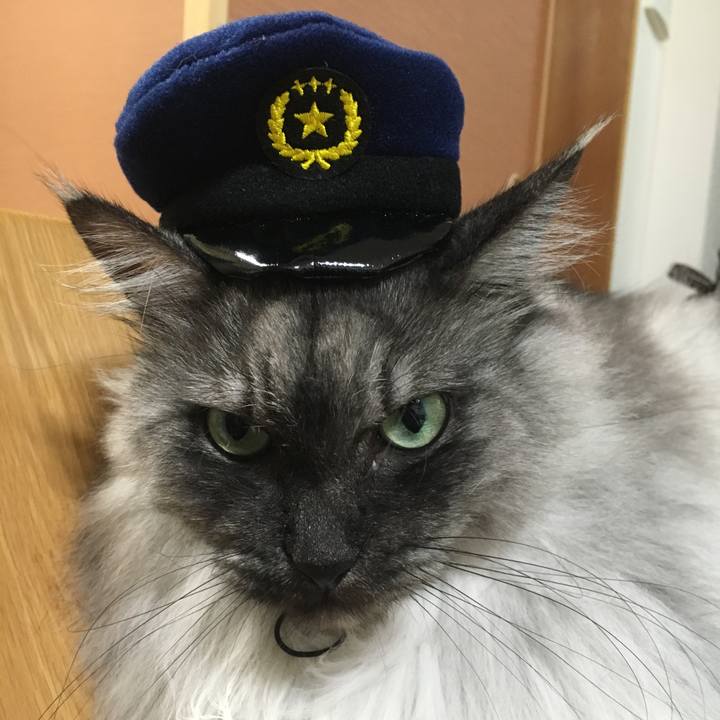 Fab994b0 025c 4642 8e8b e2e51b17cfdf