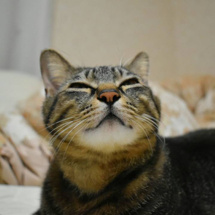 Fab9d374 0fe3 467a 804d f361873199a8