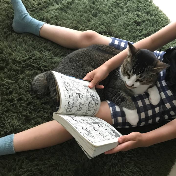 Faba00fa ad54 4e01 ace0 25a552384fc7