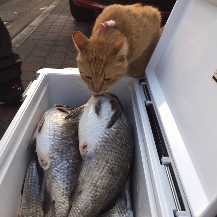 Faba0976 2496 4277 a975 ace043f079a1