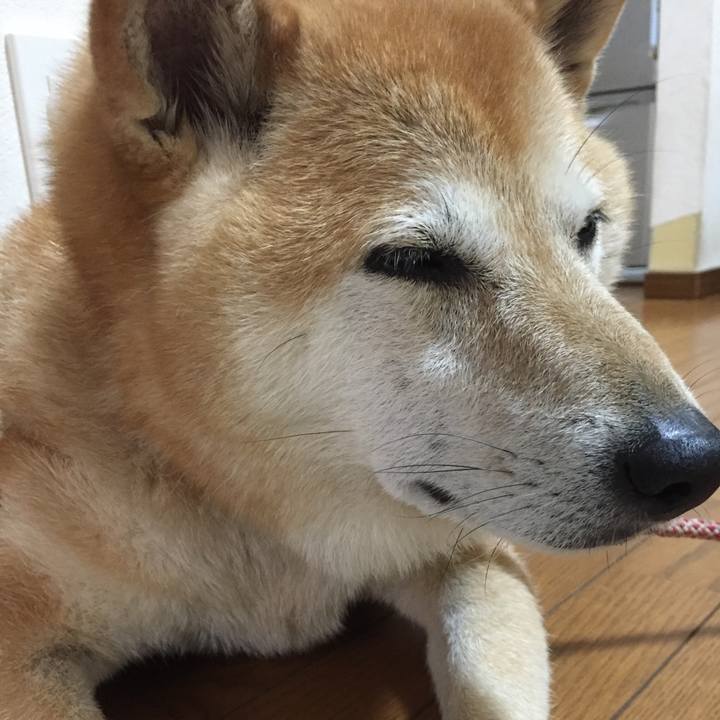 Faba640d 7932 4167 8e06 82d4de421d4e