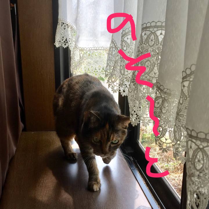 Fabad121 3405 40e6 a8f7 1c086ef173bf