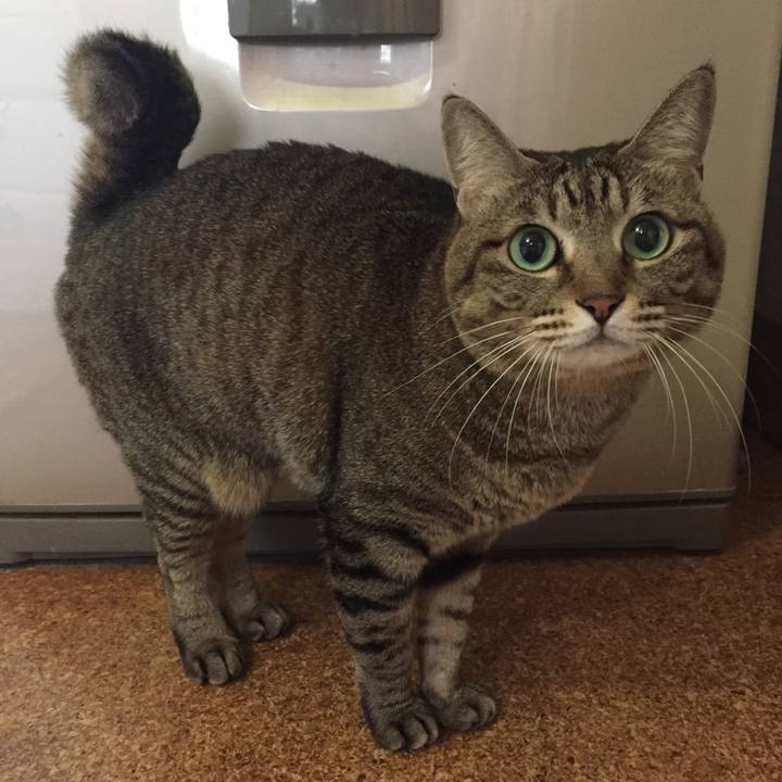 Fabb4661 c75b 4598 a162 6dceab92e5f1