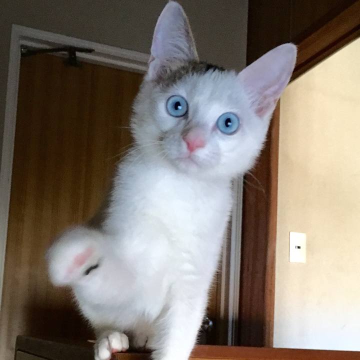 Fabb7bab 3b8e 4d34 8968 9b5ef928674e