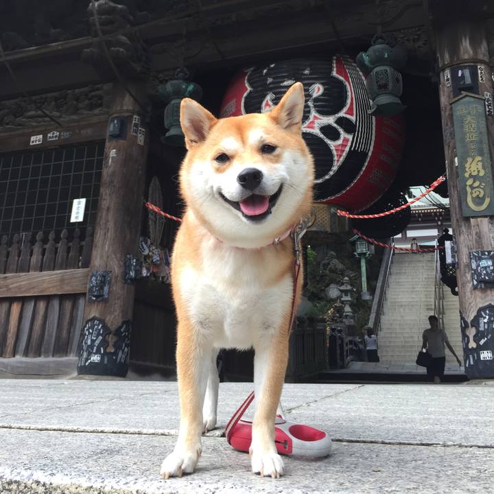 Fabc63da 1ca4 4edd 9292 e902fbaae2ec