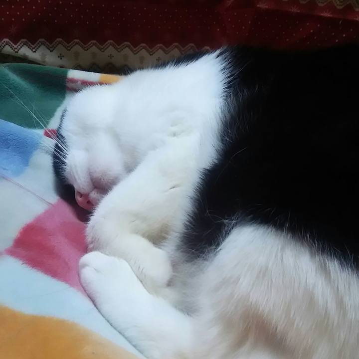 Fabc668e ce4f 425e b501 d28c5611f25c