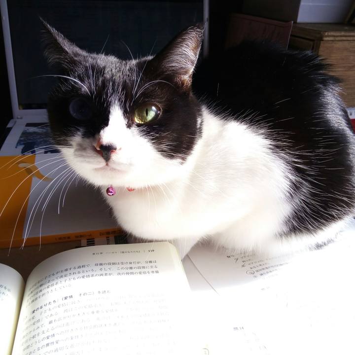 Fabd4eae 3152 4383 8415 26becdefb44a